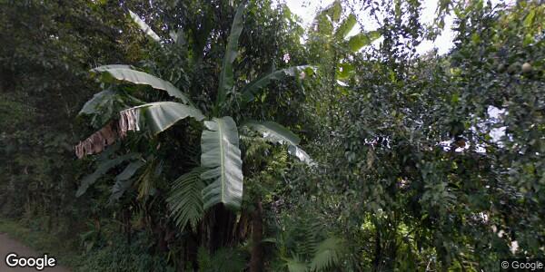 CENTRO PARA EL DESARROLLO DE LAS MUJERES CON PERSPECTIVA DE GENERO